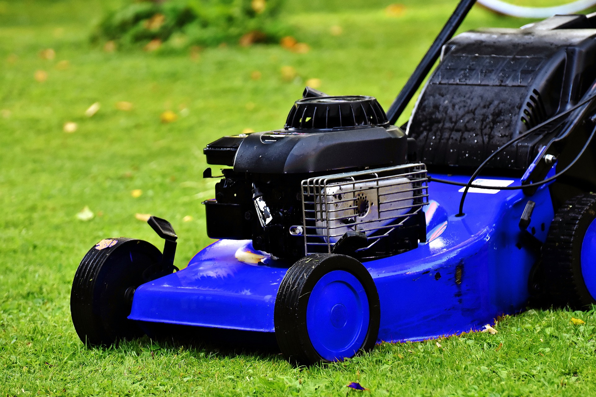 Lawn Mower